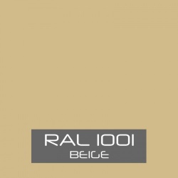 RAL 1001 Pale Beige